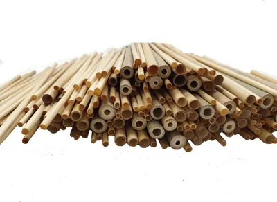 Produktbild von 200 Weidenröhrchen + 50 Schilfrohr-Röhrchen + 20 Bambusröhrchen fertige Röhrchen 20 cm Nistrohre Füllmaterial Nisthilfe für Bienen wilde Bienen für Insektenhotel Insektenhaus Bienenhotel.
