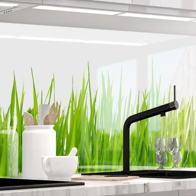 Produktbild von Küchenrückwand selbstklebend Glasoptik - WIESEN GRAS - 1.8mm, versteift, alle Untergründe, Hart PET Material, PREMIUM 60 x 80cm