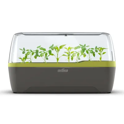 Produktbild von Romberg BoQube L PLUS Gewächshaus & Pflanzkasten-System Anthrazit-Sommergrün 41 cm