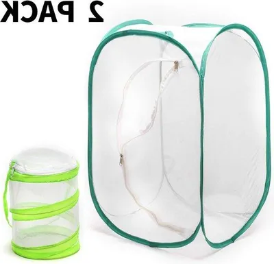 Image de Terrarium d'habitat pour insectes et papillons avec design pop-up pour l'observation de la nature - élevage de papillons et d'insectes - 236 pouces de haut - mini cage d'habitat (2 pièces)