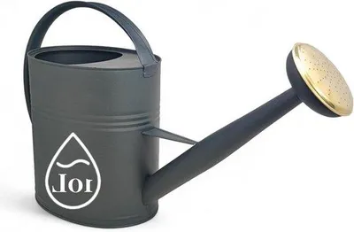 Image de Arrosoir en métal 10 litres avec tête d'arrosage amovible Arrosoir vintage pour le jardin Couleur : Anthracite