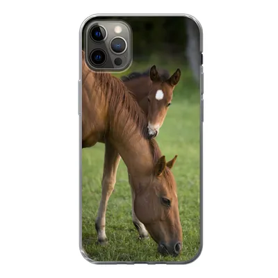 Produktbild von MuchoWow® Handyhülle Schutzhülle Hülle für iPhone 13 Pro Max Pferde - Gras - Porträt Silikon Softcase Handy Hülle - Mobiltelefon
