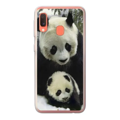 Produktbild von MuchoWow® Handyhülle Schutzhülle Hülle für Samsung Galaxy A20e Panda - Jungtier - Schnee Silikon Softcase Handy Hülle - Abdeckung
