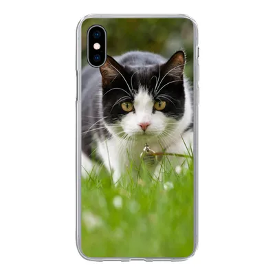 Produktbild von MuchoWow® Handyhülle Schutzhülle Hülle für iPhone Xs Katze - Gras - Schwarz - Weiß - Mädchen - Kinder - Jungen - Kinder Silikon Softcase Handy Hülle - Handytasche