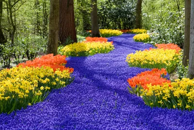 Produktbild von Papermoon VLIES Fototapete, Digitaldruck,  Frühlingsblumen (449)