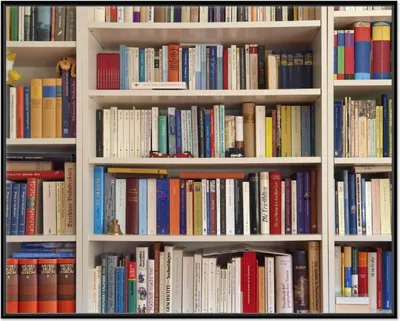 Produktbild von Wallario Wandbild Weißes Bücherregal mit unterschiedlichen Büchern, Größe: 40,30 x 50,30 cm, Poster mit schwarzem Aluminiumrahmen