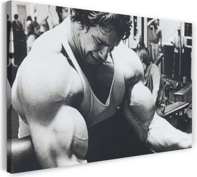 Produktbild von Leinwandbild (120x80cm): Arnold Schwarzenegger, echter Holz-Keilrahmen inkl. Aufhänger, handgefertigt in Deutschland