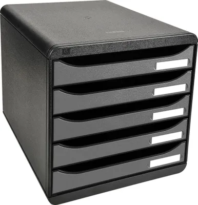 Image de Exacompta Module de classement Big Box Plus 5 tiroirs Metallic Argent 309738D