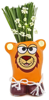 Produktbild von Grow Gifts Anzuchtset Munakuppi Löwe - Buzzy