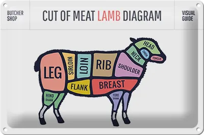 Produktbild von Blechschild Lamm 30x20cm cuts of meat lamb Metzgerei