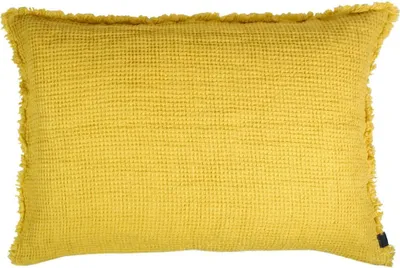 Image de Zoeppritz Basis Honeybee housse de coussin curry 160 100% Lin 40x60 700350 curry 40x60 (700350 | 4051244491372)