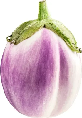 Produktbild von Aubergine di Rosa - 20 Samen