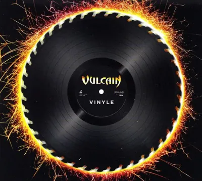 Produktbild von Vinyle