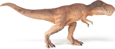 Image de Papo Figurine Dinosaure T-Rex Marron Courir