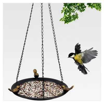 Produktbild von Vogelbad und Vogeltränke für den Außenbereich - Metallschale als Futterstelle und Tränke für Balkon, Garten und Terrasse