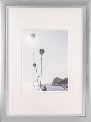 Produktbild von Walther, JI130S, Beyond Designrahmen 21x29,7 cm SILBER