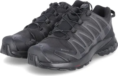 Zdjęcie produktu dla Salomon Schuhe XA Pro 3D V8 Gtx, 409889