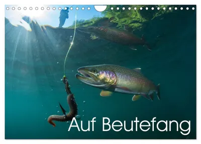 Produktbild von Auf Beutefang (Wandkalender 2027 DIN A4 quer), CALVENDO Monatskalender