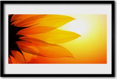 Produktbild von Bild 60x40 MDF-Rahmen Wandkunst Natur Blume Pflanze