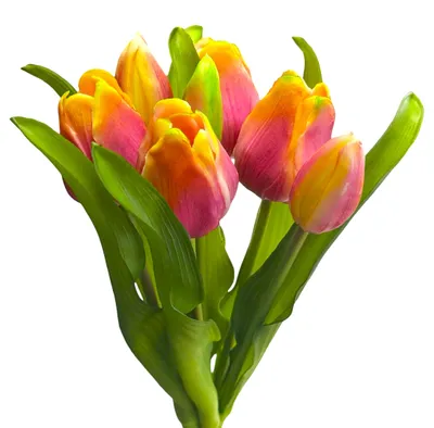 Produktbild von Künstlicher Tulpen-Bund 32cm "Soft-Touch" Kunstblume Tulpe Lila-Gelb