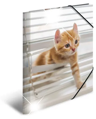 Image de HERMA Sammelmappe A3 Glossy Katze Polypropylen