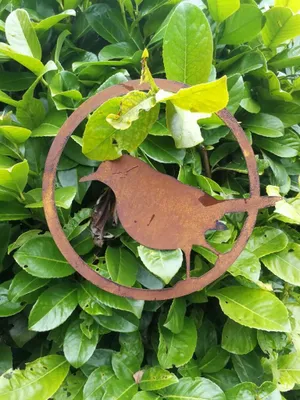 Produktbild von Edelrost Vogel im Ring, Amsel
