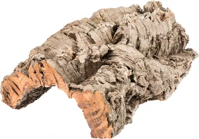 Produktbild von Korkrinde in Natur, Maße ca. 25-30 cm | Korkeichenrinde