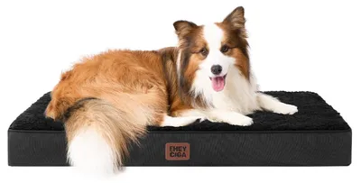 Produktbild von Orthopädisches Hundebett 91x68cm Schwarz