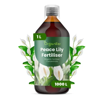 Obrázek produktu pro Laliovník Tekuté Hnojivo 1 L – 3-4-3 NPK – Pro Laliovník – Podporuje Bujné Květy & Zdravý Růst – Organifer