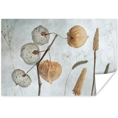 Produktbild von MuchoWow® Poster Stillleben - Natur - Herbst - Trockenblumen 120x80 cm - Bilder