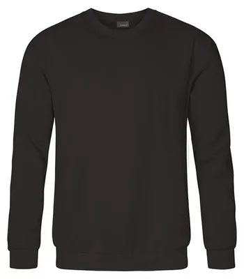 Image de Promodoro - « Nouveau » sweat-shirt pour homme LT2988 (L) (charbon uni)