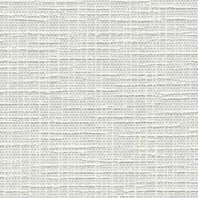 Produktbild von A.S. Création Vliestapete Meistervlies Pro Protect 2, weiss, überstreichbar, 10,05 m x 0,53 m, 574619, 5746-19
