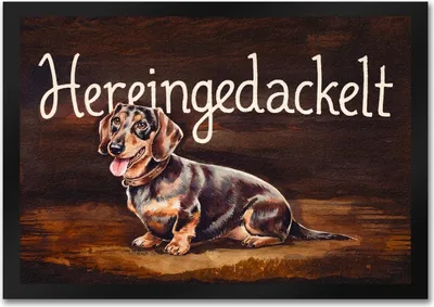 Produktbild von Hereingedackelt Fußmatte in 35x50 cm mit Dackel