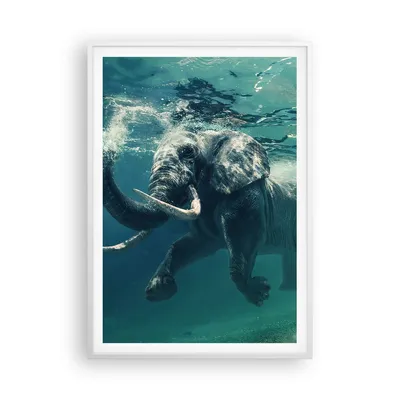 Produktbild von Gerahmtes Poster - Weißer Rahmen - Elefant Tier Wasser - 70x100 cm - Wand Bild - Wanddeko - Wandbilder - Kunstposter - Wandposter - Bilderrahmen - Bilder - Kunstdruck - Wandbild - P2WPA70x100-3944