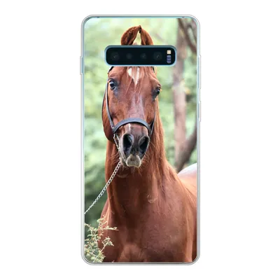 Produktbild von MuchoWow® Handyhülle Schutzhülle Hülle für Samsung Galaxy S10 Lite Pferd - Wald - Halfter Silikon Softcase Handy Hülle - Schutz