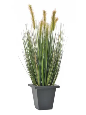 Obrázek produktu pro Europalms gras im Dekotopf künstlich 60cm 82505862