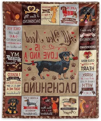 Productafbeelding van Kusdekens voor honden, in vintage stijl, zacht en comfortabel, perfect als decoratie voor huisdieren.