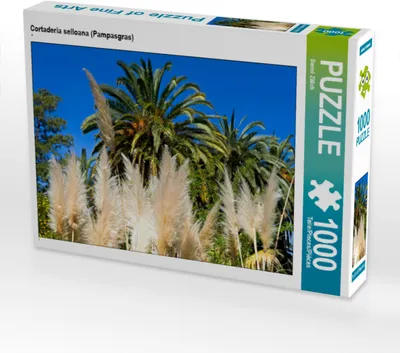 Produktbild von CALVENDO Puzzle Cortaderia selloana (Pampasgras) | 1000 Teile Lege-Größe 64x48cm Foto-Puzzle für glückliche Stunden