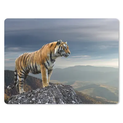 Produktbild von MuchoWow® Mauspad Mousepad Tiger - Berg - Natur - Landschaft 23x19 cm - Mousepads - Maus Mat - Pad - Mausunterlage - Schreibtischunterlage - Mauspad