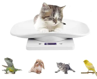 Productafbeelding van Digitale Personenweegschaal - Baby en dier - Nauwkeurig wegen - Hoge Precisie - 10kg - Wit