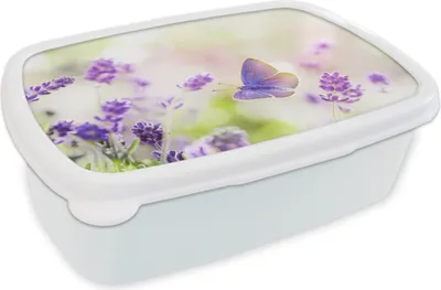 Produktbild von KitchenYeah® Lunchbox Brotzeit Brotdose 17x11 cm Lavendel - Schmetterling - Blumen Kinder Brotzeitdose - Lunch Box - Kinder - Sandwich-Box - Schulbox - Lunch Boxen