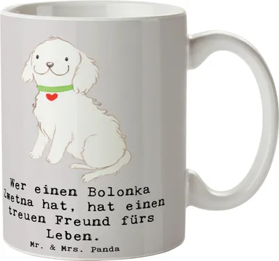 Produktbild von Mr. & Mrs. Panda Henkelpott Bolonka Zwetna - Grau Pastell - Geschenk, Kaffeebecher, loyaler Begleiter, fröhliche Hunde, treue, Kaffeetasse, Hunderassen, Teepott, Tasse