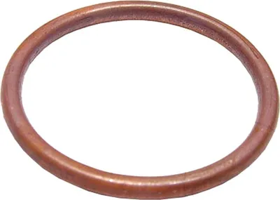 Image de 2 joints de collecteur pour Aprilia SXV 450, année de fabrication 2006-2013, de la marque Pamoto - Neuf