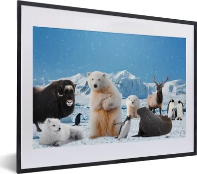 Produktbild von MuchoWow® MuchoWow® Gerahmtes Poster Tiere - Große Fünf - Arktis 40x30 cm - Poster mit zchwarzem Bilderrahmen - Bilderrahmen - Poster im Rahmen