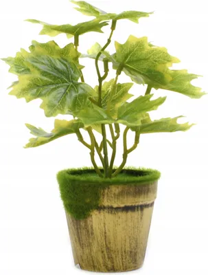 Produktbild von Künstliche Pflanze im Topf 25cm Deko Blume Realistisch Wohnzimmer Büro Zufallsdesign