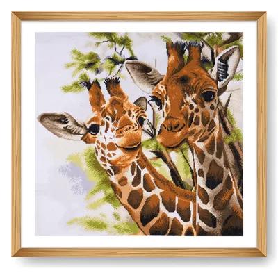 Kreuzstichset Giraffen, 14 Count Aida, bedruckt, 48,2 x 47 cm