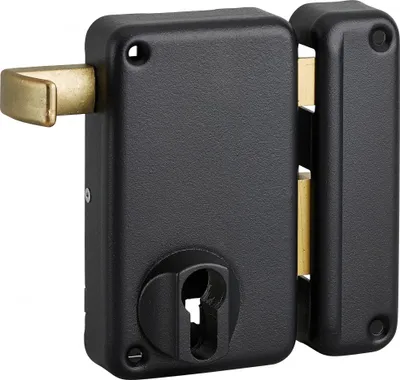 Image de Boitier de serrure verticale en applique double entrée à tirage pour porte d'entrée, droite, axe 45mm, 75x130mm, noir - THIRARD