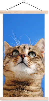 Produktbild von MuchoWow® Textilposter Katze - Braun - Luft - Mädchen - Jungen - Kinder 60x120 cm mit holzfarbenen Rahmen - Holz