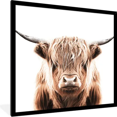 Produktbild von MuchoWow® Gerahmtes Poster Tiere - Schottischer Highlander - Kuh 40x40 cm - Poster mit Schwarzem Bilderrahmen Wandposter Rahmen Foto Bilder - Mit Rahmen - Wanddekoration Schlafzimmer