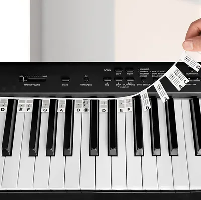Produktbild von Klaviertastatur-Aufkleber in voller Größe, 88 Tasten, abnehmbare Klaviertastatur-Musiketiketten, wiederverwendbare Klaviertastatur-Notenaufkleber（Schwarz und weiß）